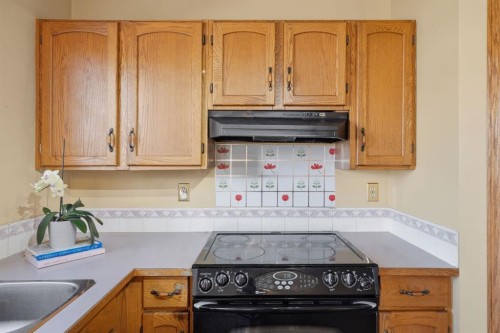 219 Coral Springs Circle, Calgary, AB 