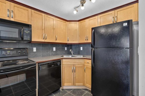 202-329 19 Avenue Sw, Calgary, AB 