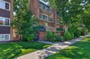 202-329 19 Avenue Sw, Calgary, AB 