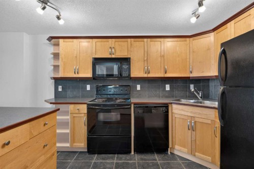 202-329 19 Avenue Sw, Calgary, AB 
