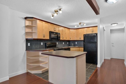202-329 19 Avenue Sw, Calgary, AB 