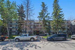 401-617 56 Avenue SW Calgary, AB T2V 0G9