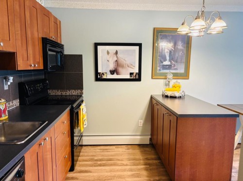 201-2010 11 Avenue Sw, Calgary, AB - Indoor Photo Showing Kitchen