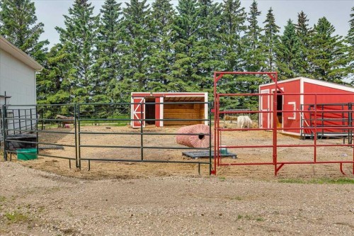 29104 Highway 27, Rural Mountain View County, AB - Outdoor