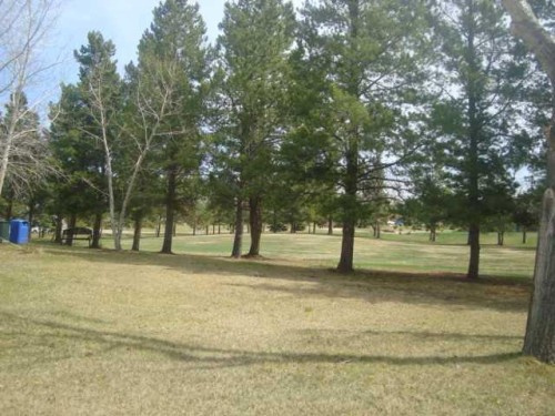 2 Trochu Avenue, Trochu, AB 