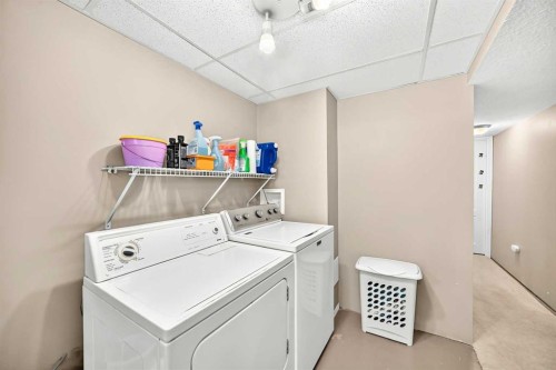 218 Southridge Place, Didsbury, AB 