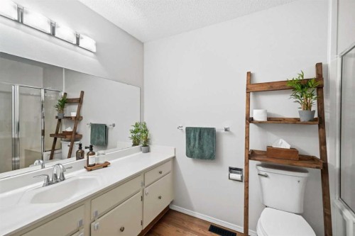 25-228 Theodore Place Nw, Calgary, AB - Indoor Photo Showing Bathroom