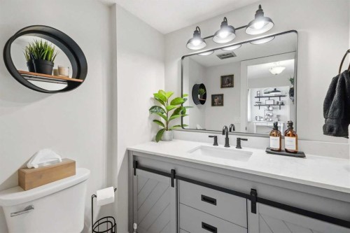 25-228 Theodore Place Nw, Calgary, AB - Indoor Photo Showing Bathroom