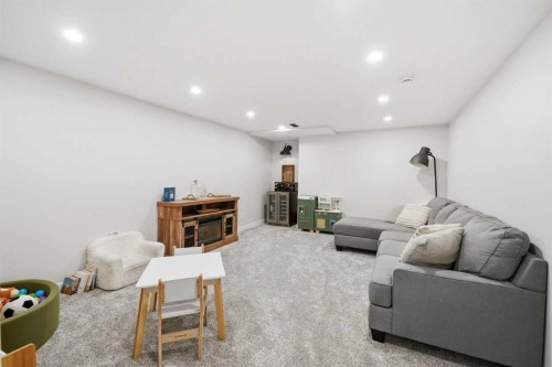 25-228 Theodore Place Nw, Calgary, AB - Indoor Photo Showing Basement