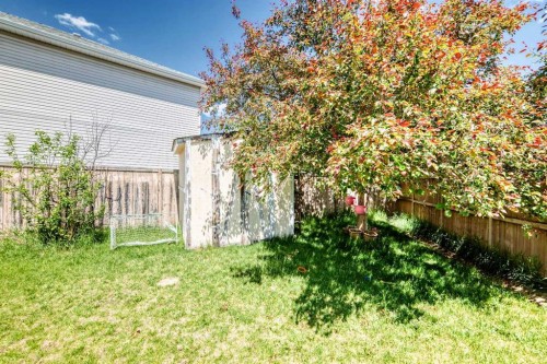 54 Coral Springs Court Ne, Calgary, AB 