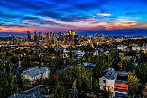 2113 21 Avenue Sw, Calgary, AB 
