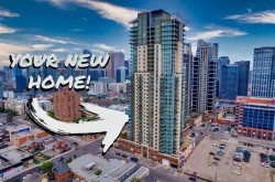 709-210 15 Avenue SE Calgary, AB T2G 0B5