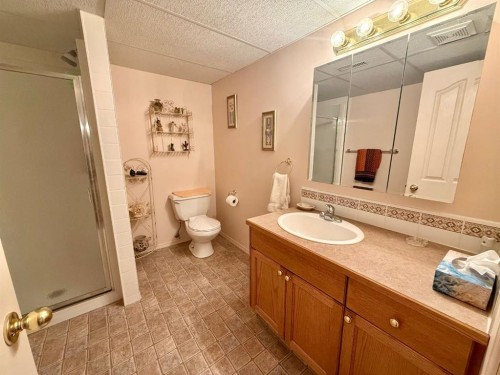 408 Freeman Way Nw, High River, AB 