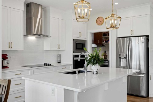 642 Cornerstone Avenue Ne, Calgary, AB - Indoor Photo Showing Kitchen With Upgraded Kitchen