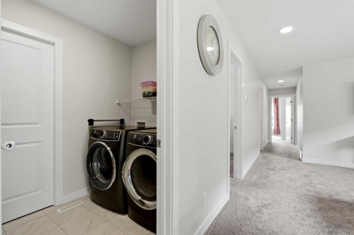 642 Cornerstone Avenue Ne, Calgary, AB - Indoor Photo Showing Laundry Room