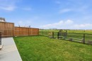 642 Cornerstone Avenue Ne, Calgary, AB  - Outdoor 