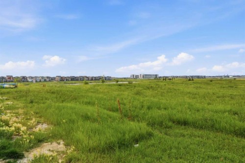 642 Cornerstone Avenue Ne, Calgary, AB - Outdoor With View