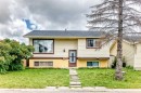79 Castledale Way Ne, Calgary, AB 