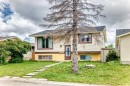 79 Castledale Way Ne, Calgary, AB 