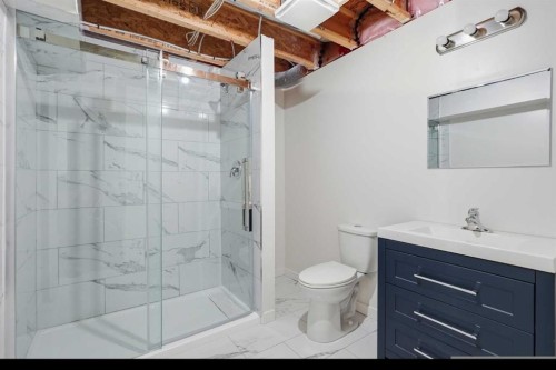 245 Cimarron Vista Way, Okotoks, AB - Indoor Photo Showing Bathroom