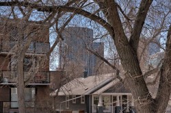 204-310 4 Avenue NE Calgary, AB T2E 0J5