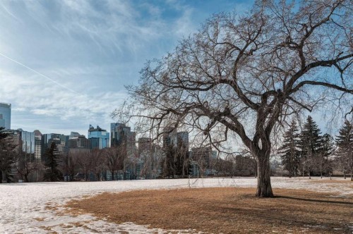 204-310 4 Avenue Ne, Calgary, AB 