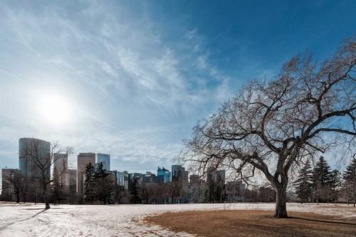 204-310 4 Avenue Ne, Calgary, AB 