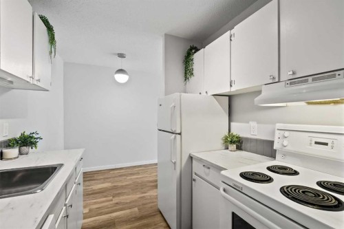 204-310 4 Avenue Ne, Calgary, AB 