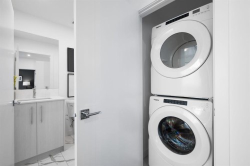 4313-6 Merganser Drive West, Chestermere, AB - Indoor Photo Showing Laundry Room