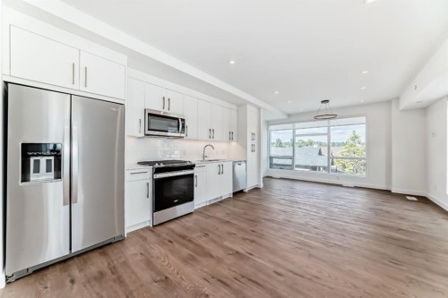 201-110 18A Street Nw, Calgary, AB - Indoor Photo Showing Kitchen With Stainless Steel Kitchen