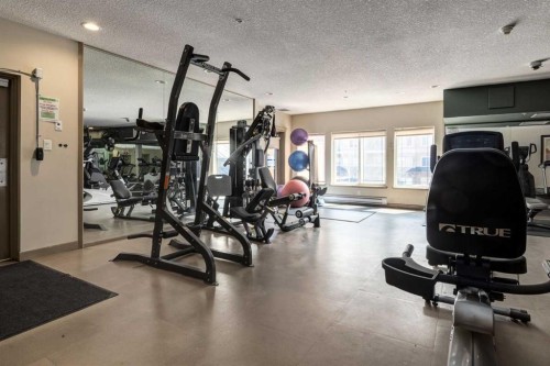 502-30 Discovery Ridge Close Sw, Calgary, AB 