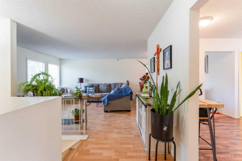 9611 24 Street Sw, Calgary, AB 