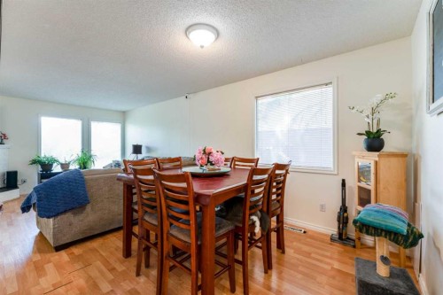 9611 24 Street Sw, Calgary, AB 