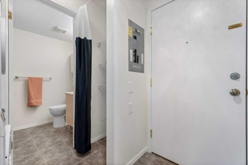 3421-1620 70 Street Se, Calgary, AB - Indoor Photo Showing Bathroom