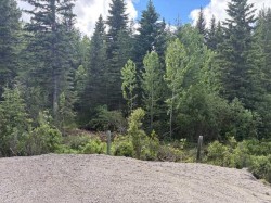 Range Road 51 Rural Mountain View County, AB T0M 2E0