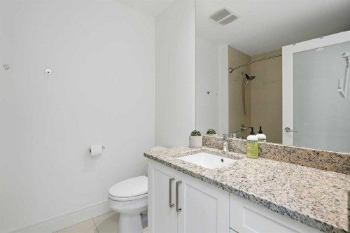 2040 31 Avenue Sw, Calgary, AB 