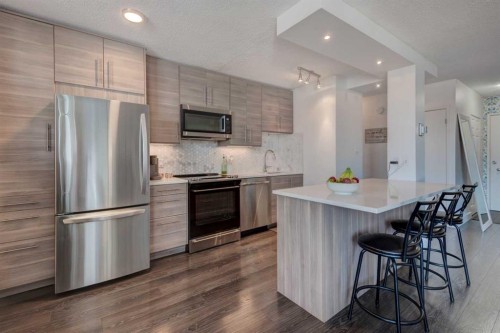 510-1027 Cameron Avenue SW Calgary, AB T2T 0K3