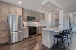 510-1027 Cameron Avenue SW Calgary, AB T2T 0K3