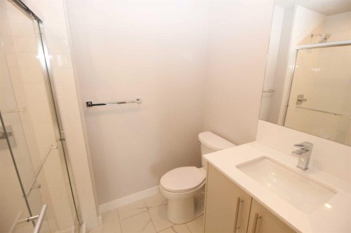 214-8370 Broadcast Avenue Sw, Calgary, AB - Indoor Photo Showing Bathroom