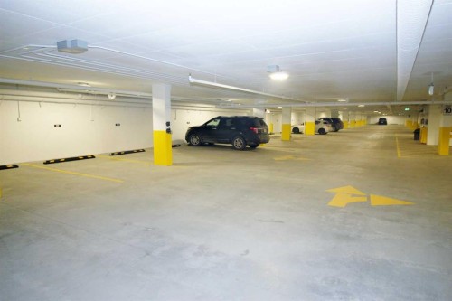 214-8370 Broadcast Avenue Sw, Calgary, AB - Indoor Photo Showing Garage