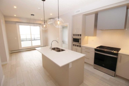 214-8370 Broadcast Avenue Sw, Calgary, AB - Indoor Photo Showing Kitchen With Double Sink With Upgraded Kitchen