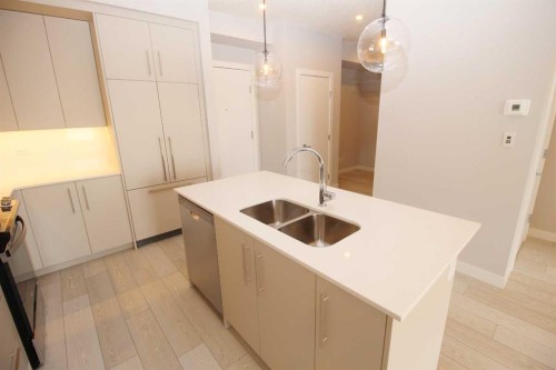 214-8370 Broadcast Avenue Sw, Calgary, AB - Indoor Photo Showing Kitchen With Double Sink