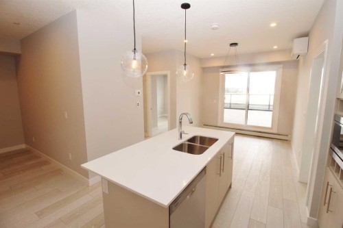 214-8370 Broadcast Avenue Sw, Calgary, AB - Indoor Photo Showing Kitchen With Double Sink