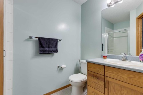 4 Big Springs Hill Se, Airdrie, AB - Indoor Photo Showing Bathroom