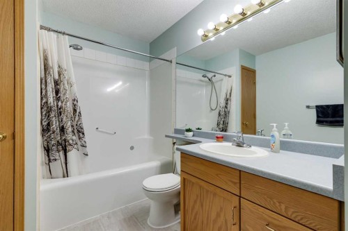 4 Big Springs Hill Se, Airdrie, AB - Indoor Photo Showing Bathroom