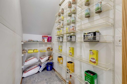4 Big Springs Hill Se, Airdrie, AB - Indoor With Storage