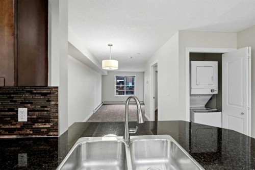 215-7110 80 Avenue Ne, Calgary, AB - Indoor Photo Showing Kitchen With Double Sink