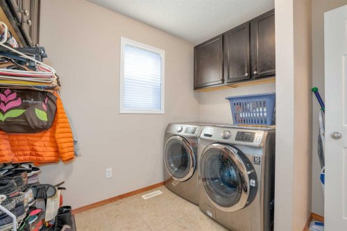 42 Royal Birch Landing Nw, Calgary, AB 