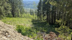 Site #12, 13 , 14-3483 Highway 95  Out Of Province_Alberta, BC V0A 1A4