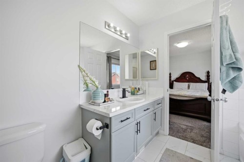 89 Saddlehorn Close Ne, Calgary, AB 